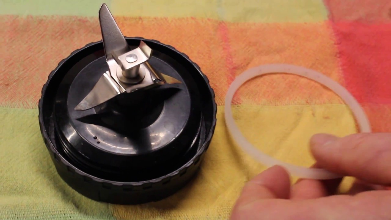 How to Clean Ninja Blender Rubber Gasket