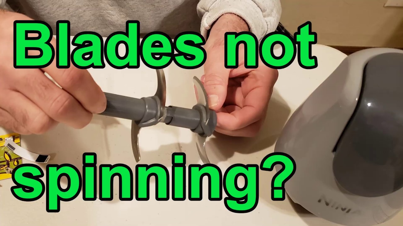 Ninja Blender Blade Not Spinning