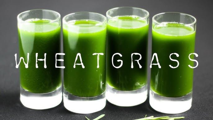 How to Make Wheatgrass Juice in a Blender: Quick & Healthy!